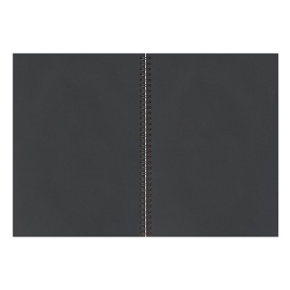 Скетчбук, черная бумага 120 г/м2, 148х210 мм, 32 л., гребень, BRAUBERG ART CLASSIC, 128952 Китай