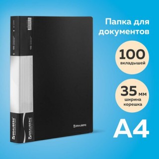 Папка 100 вкладышей BRAUBERG стандарт, черная, 0,9 мм, 221610 Россия