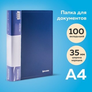 Папка 100 вкладышей BRAUBERG стандарт, синяя, 0,9 мм, 221609 Россия